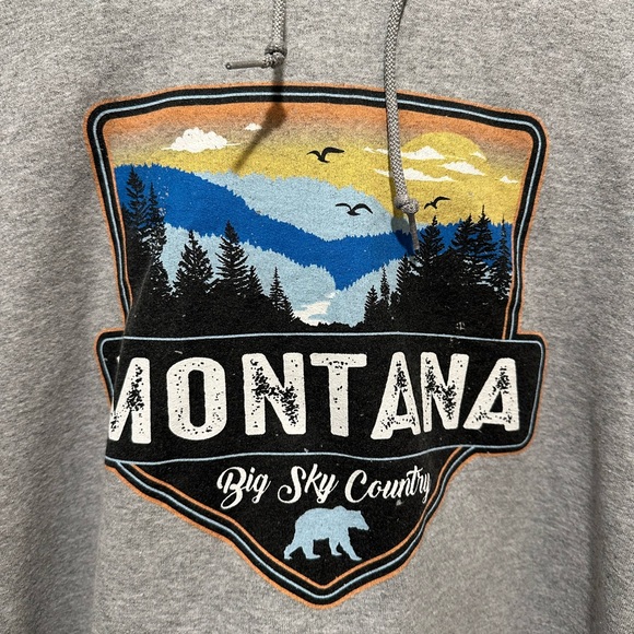 Wild Fable Gray Montana Hoodie - Picture 2 of 3